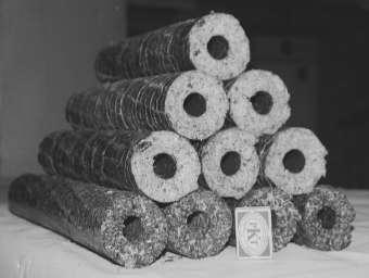 Fig. 9. Briquettes (from spruce sawdust, from spruce sawdust with a buckwheat hulls content) [5] 3.