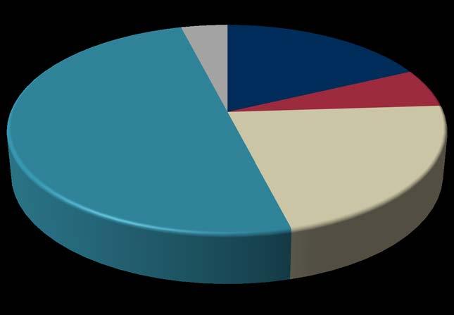 Student Demographics Spring 2016 Ethnicity 4% 18%