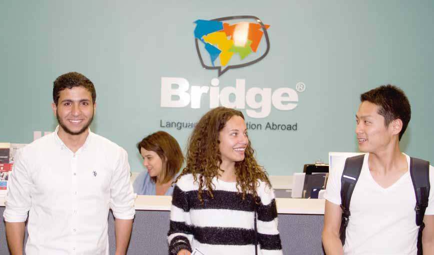 Welcome! Join Bridge in celebrating over 30 years of providing world-class language instruction and life changing experiences to our students.