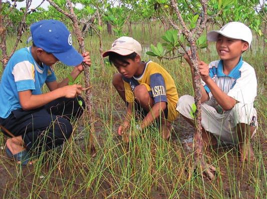 Getting children involve in planting and caring mangrove trees in Viet Nam - IFRC longer sessions focusing on children and DRR.