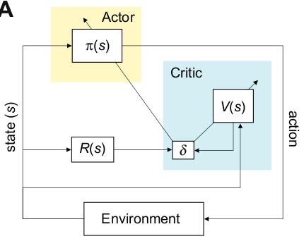 Actor-critic architecture for RL Problem formalization: S = states, A = actions, R = rewards, T = transitions [s(t),a] s(t+1) Agent's goal: maximize longterm