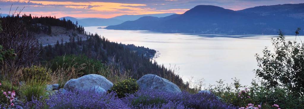 The Okanagan Valley Promote research, innovation and evidence-informed action Ensure that research and innovation contribute evidence to guide the formulation of health enhancing policies and