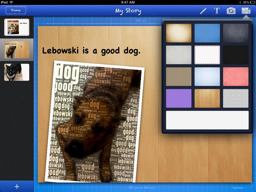 Students can add photo images, drawn images, audio*, backgrounds, and text.