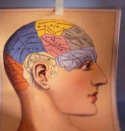 Here are some facts about the brain: It is about 2 percent of body weight. It consumes about 20 to 30 percent of the body s energy. There are about 100 billion neurons in the brain.