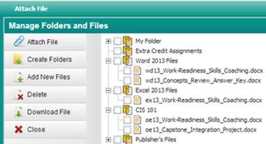 File: You can add files specific to a lesson with the File option.