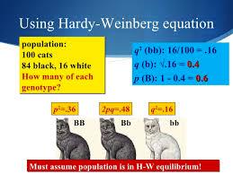 Hardy Weinberg Hardy Weinberg Modeling - pgs 13-16 Hardy Weinberg Simulation I: (Old