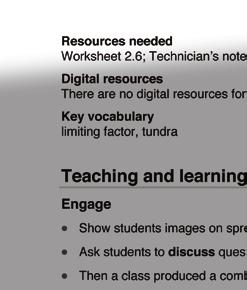 questions and activities in every lesson and targeted