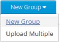 Creating Groups Groups can be created individually by entering the information on screen, or created in bulk by uploading the information from a.csv file.