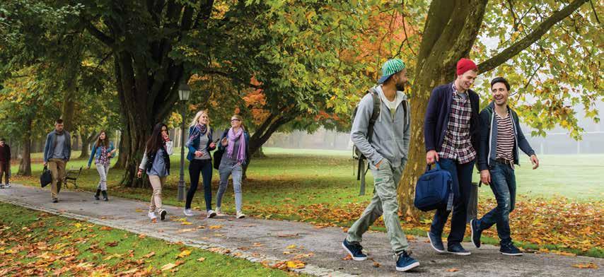 given the reported importance of campus elements, it seems to make sense that everyone becomes invested in the physical environment.