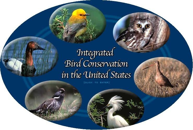 The Integrated Waterbird Monitoring and Management Initiative The 2012 Revised North American Waterfowl Management Plan A New Paradigm for Adaptive Learning: Meeting the Bird Conservation Challenge