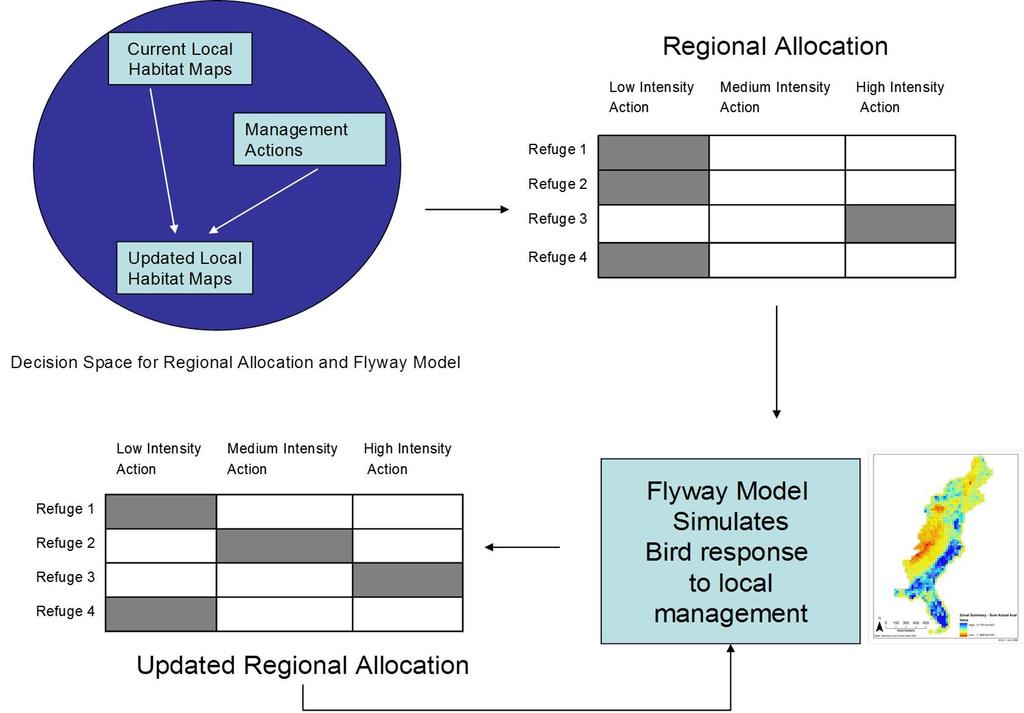 The All-Bird Bulletin - Winter 2013 Page 15 The Integrated Waterbird Management and Monitoring Initiative: Structured Decision-making in an Adaptive Framework Jorge Coppen, North American Waterfowl