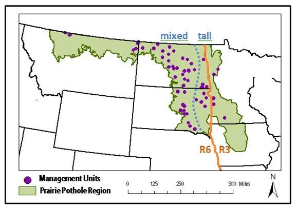 Page 28 The All-Bird Bulletin - Winter 2013 Managing Native Prairies Adaptively in the Northern Great Plains Terry Shaffer, Research Statistician and Jill Gannon, Ecologist, Northern Prairie Wildlife