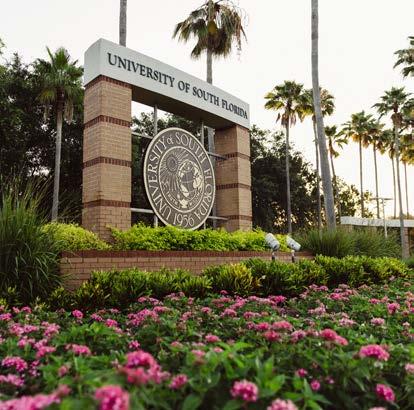 THE UNIVERSITY OF SOUTH FLORIDA The University of South Florida is one of the nation s top public research universities and one of only 40 public research universities nationwide with very high