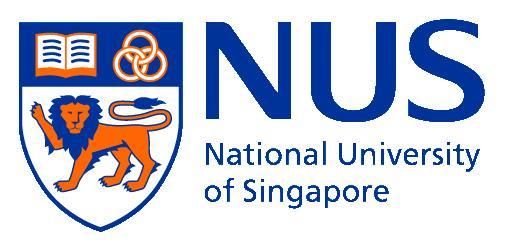 HOW to develop an evaluation tool for IPE evaluation the NUS