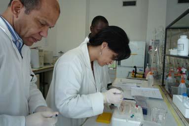 4 IFCC Beginner s Course in Molecular Diagnostics 22-27 July 2013 The Committee on Clinical Molecular