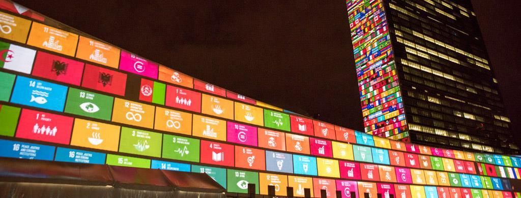 Foundational Course on the 2030 Agenda for Sustainable Development An online course that introduces participants to key conceptual and practical aspects of sustainable development and the 2030