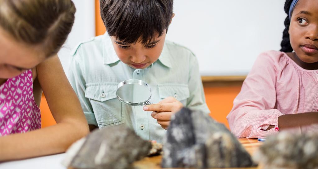 Science Science promotes curiosity and a sense of wonder, encourages life- long exploration, and provides a foundation for understanding the natural world.