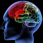 How the Mind Processes Information Sensory Memory Role of Emotions Short Term Memory Long Term Memory Elaboration Declarative Sight