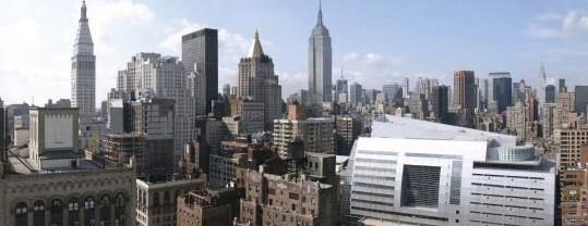 New York City is rated as an alpha world city for its global influences in media, politics, education,