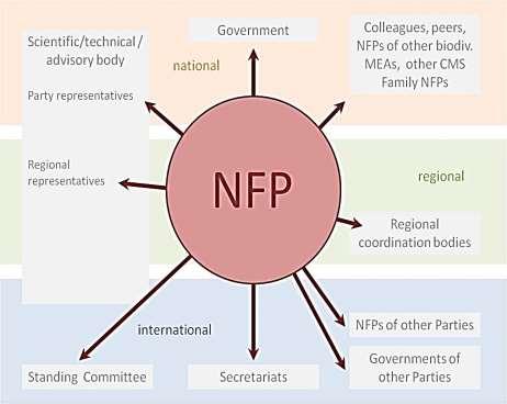 3.2 Communication and Dissemination of Information Communication is a key element of any NFP s responsibilities.