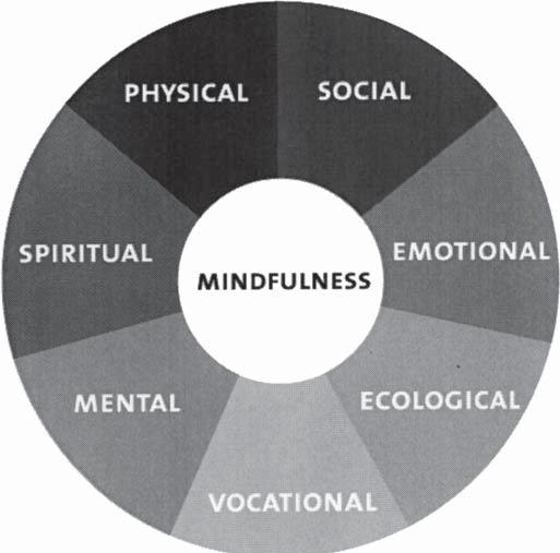 222 Geoffrey B. Soloway et al. Figure 21.1. Wellness Wheel The wellness wheel serves as a framework to explore a new dimension of wellness each week, through the lens of mindfulness.