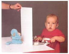 particular effects Lack of Object Permanence Substage 5: Tertiary Circular Reactions (12-18 mos.