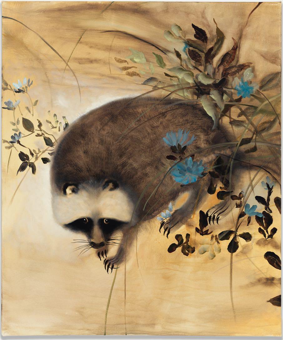 Raccoon, 2015 Oil on canvas