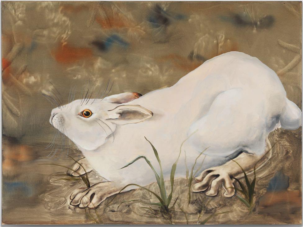 White Rabbit, 2015 Oil on canvas