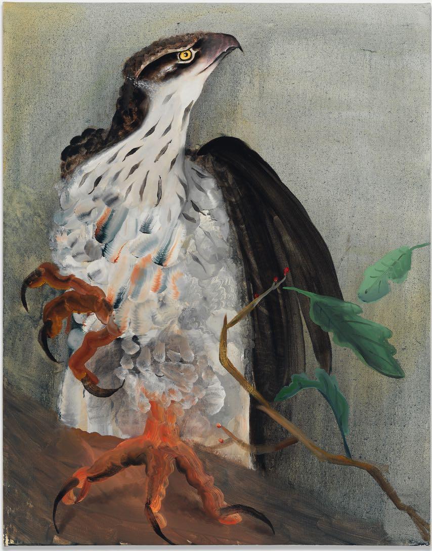 Hawk, 2015 Oil on canvas 28