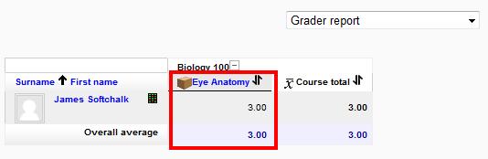 You can view your student scores (see below). 5. Click on the name of the lesson (see below).