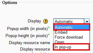 13. Scroll down to the Options area. Under the Display dropdown menu, you have several choices to display your lesson (see below).