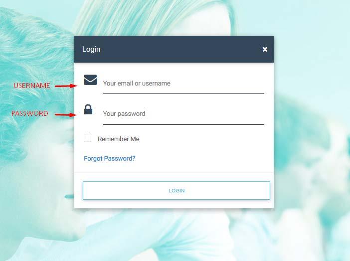provided, go to the top right-hand side of the screen and select Log in.