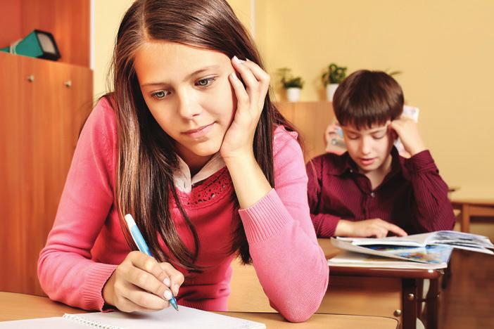 school. For the purpose of this brochure, five areas of focus have been identified as particularly important to the life of a middle school student as they transition.