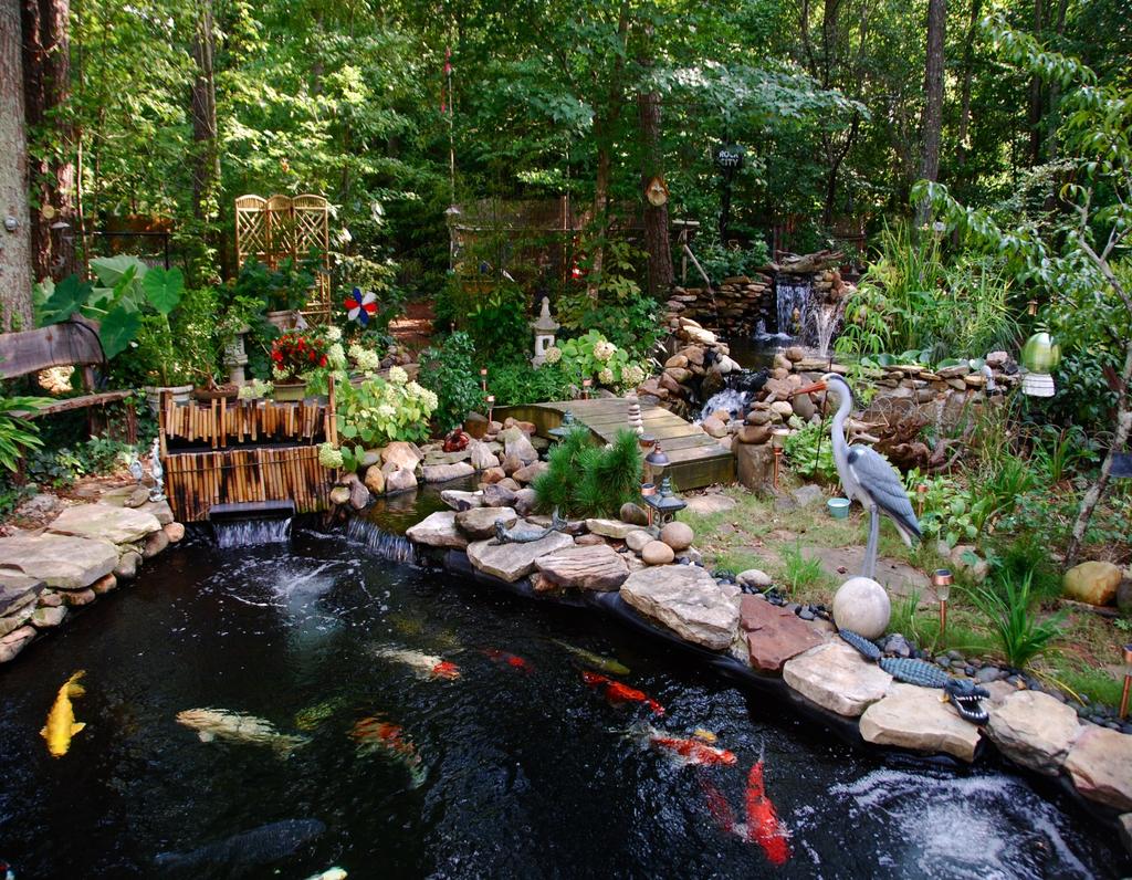 POND and GARDEN TOUR June 22, 2013 Saturday 9:30am - 5:30pm ATLANTA KOI CLUB 4 SAVE THE DATE! You don t want to miss this biennial event to visit some of our member s beautiful ponds and gardens.
