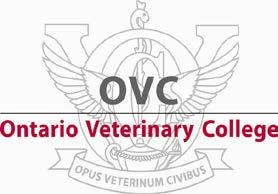 The specific course requirements listed below must have been completed at the university level before admission to the Doctor of Veterinary Medicine Program will be considered.