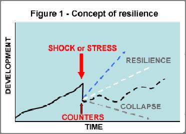 Resilience If uncertainties about climate change are large, one can still know how the resilience of socialecological systems can be enhanced Resilience is the capacity of a system to tolerate