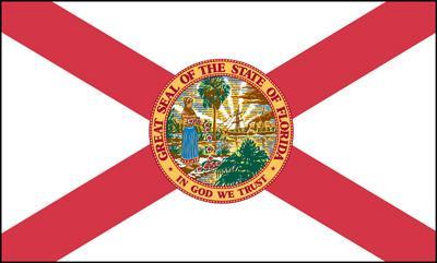 What are the three branches of Florida s government and the powers of each branch? SS.4.C.3.