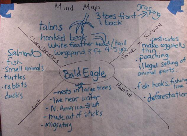 19. Mind maps Mind maps are graphic organizers that capture what students know about a topic. 1. Students are in proximity to the teacher and can all see the chart and teacher. 2.