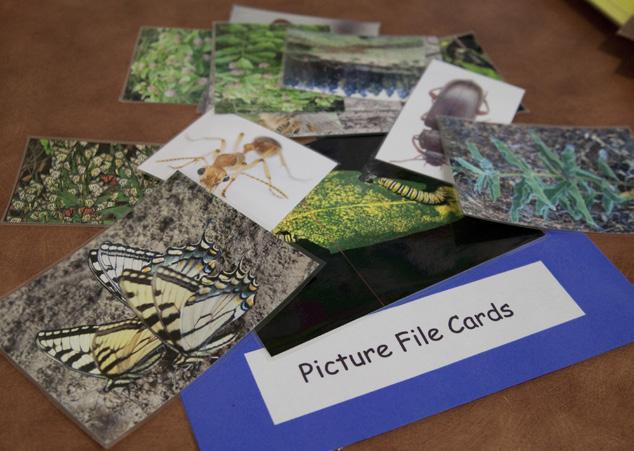 8. Picture file cards 8 Picture file cards are cards with photos related to the topic of the unit.