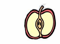 00 apples written as a decimal Fractions and decimals are simply two ways to say the same thing. Fractions and decimals describe parts of something. They are used with and without whole numbers.