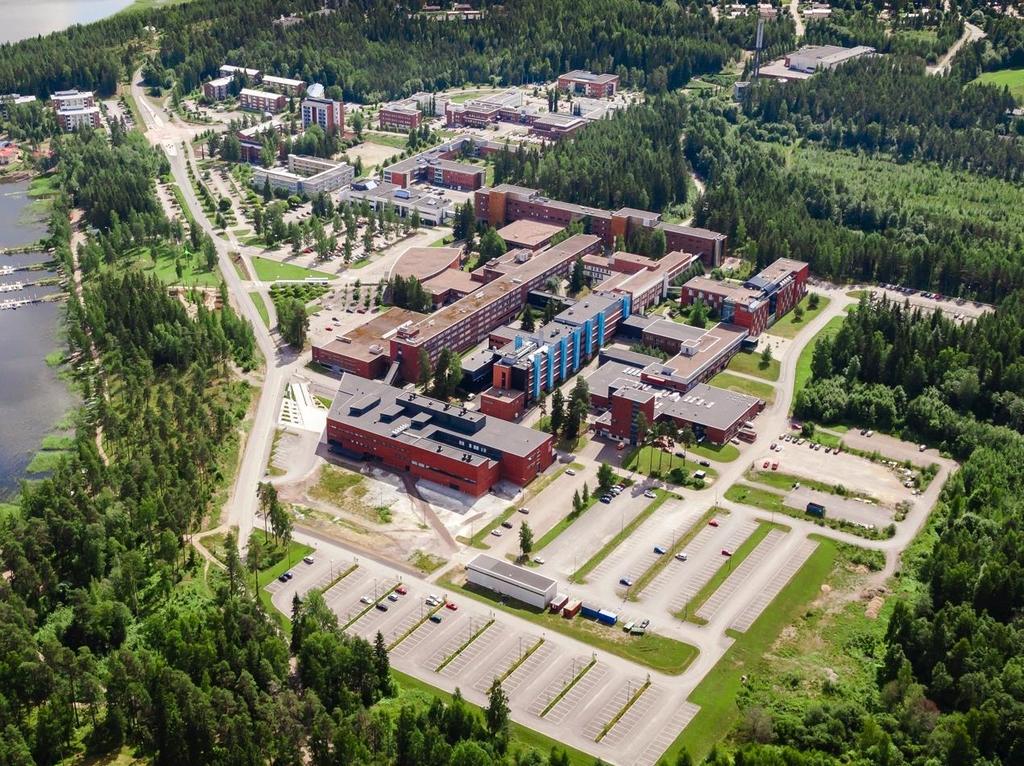Saimaa University