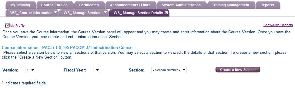 10. In the WS_Manage Section Details Tab, select Create a New Section.