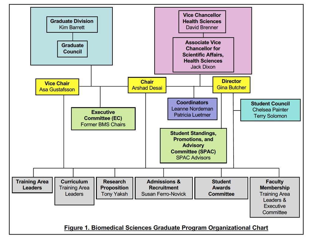 Biomedical Sciences Graduate Program Organizational Chart II. ADVISORY SYSTEM A.