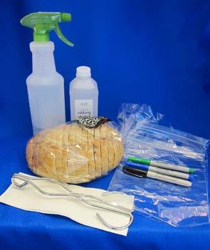 class supply of the provided recording sheet *Hint: You may want to have two separate loaves of bread available to ensure that the control bread ( tongs ) stays as germ-free as possible.