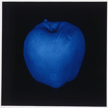 Smoke; Flowers and Plates (Blue Hope), 1991, photogravure,