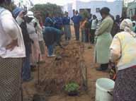 A vegetable garden has been started after Foundations for Farming training has been shared with the leaders of
