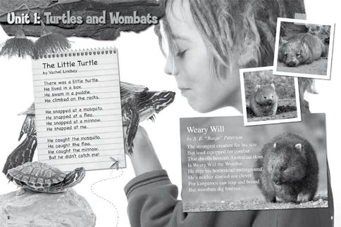 Student Book pages 2 9 Unit 1: Turtles and Wombats The Big Picture This unit s poems rely on rhyme and rhythm to entertain readers.