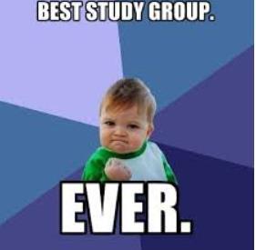 Study Groups will be offered to all students who have not yet passed an assessment.