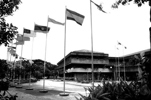of the Philippines Diliman