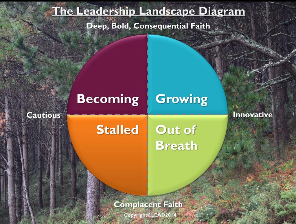 The Leadership Landscape and The Disciple Frame LEAD uses these frameworks as a starting place for leaders in congregations to honestly reflect and have conversations about their location in a